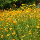 운수3리 마을회관 이미지