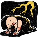 목련세차