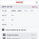 Apple_PAYCO