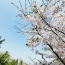 인천대공원(야외음악당 옆) 이미지