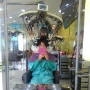 수정칼라 이미지
