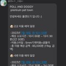 폴앤도기 이미지