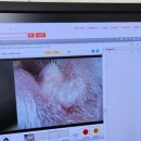 수사랑 동물병원 이미지