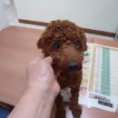 신월6동주민센터 이미지