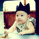 똥강아지 베이비 스튜디오