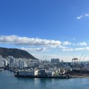 베티하우스 이미지