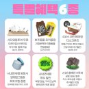 블루마운틴 | 시드니 블루마운틴 투어 후기 시닉월드 페더데일 동물원 쿼카 호주 시드니 여행 일정 추천