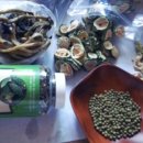 돈구농장 이미지