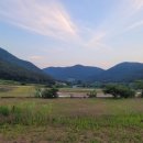 브라운힐프 이미지