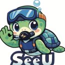 씨유 제주표선은하점 | 아무도 안알려주는 제주 다이빙 샵 추천 고르는 꿀팁