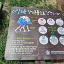 뇌건강지도사 양성과정 이미지