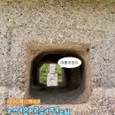 [2026 조선왕릉원정대] 6일차 후기