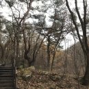 하늘재길 | 충북웰니스 걷기명상여행 2박 3일 참여 후기(3일차) - 하늘재길, 충주 수안보족욕체험장 걷기