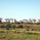 신성가스 이미지