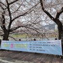 별스런 산책 이미지