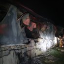 돼지한마리 이미지