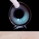 블루썬 | 렌시스 도니아 썬 브라운 / 문 그레이 / 오브 블루 추천인 코드 IEPOPH7M