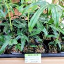 새통영농협하나로마트 죽림점 이미지