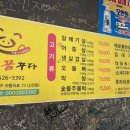 돼지꿈꾸다
