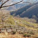 구재봉자연휴양림(하동) 이미지