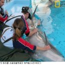 남구문예회관 공연장 이미지