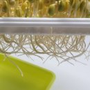 모닝미트 축산물직판장 이미지