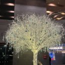 광천송가네 | 제천여행 숙소추천 @ 포레스트 리솜 S25 , 해브나인스파 후기 및 이용꿀팁 (레스트리 리솜 S20 비교)