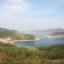 거문도식당 이미지