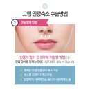 지성인중