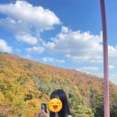 화담다인 이미지