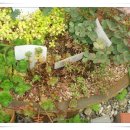 갈매기농장 이미지