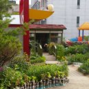 미주 유치원 이미지