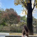 집밥이선생 이미지