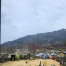대구 벚꽃 명소 가창호 개화상태 (3월 24일) 및 넓은 카페 동제미술관 후기