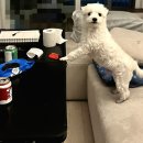 우디네 점빵 이미지