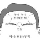 이마(천이궁. 복덕궁) 이미지