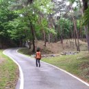 다솔사길 이미지