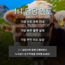 도연축산 네이버블로그