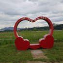 한강시민공원(등수국터널 1) 이미지