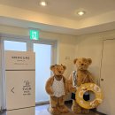 머큐어 앰배서더 제주 | 머큐어앰배서더 제주 극성수기에도 한적한 숲뷰 수영장 최고 / 깔끔한 헬스장