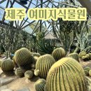 [제주여행] 여미지식물원 온실정원 옥외정원 서귀포 관광단지 비오는날 가볼만한 곳