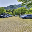 평림구장 | 전남 나들이 가기좋은 장성 평림댐 장미공원