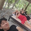 괴산농협중앙지점 | 2026. 7. 4.~7. 5. 괴산청주(1일차, 쌍곡계곡)