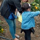 주식회사 다가치 이미지