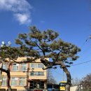 이인초교병설유치원 이미지