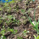 만물농장 이미지