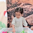 🦎사바나모니터(도마뱀)와 소라게가 왔어요🐚 이미지