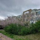 장승공인중개사사무소 이미지