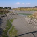 10월26일(목) 늠내길2코스(시흥갯골 생태공원 & 소래습지 생태공원) 이미지