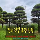 성실조경 | [ 조경인력 ] 용인 처인구 외 지역 현장 전지작업 [ 용인인력 ] 일가자인력 용인처인점 [ 구인후기 ]
